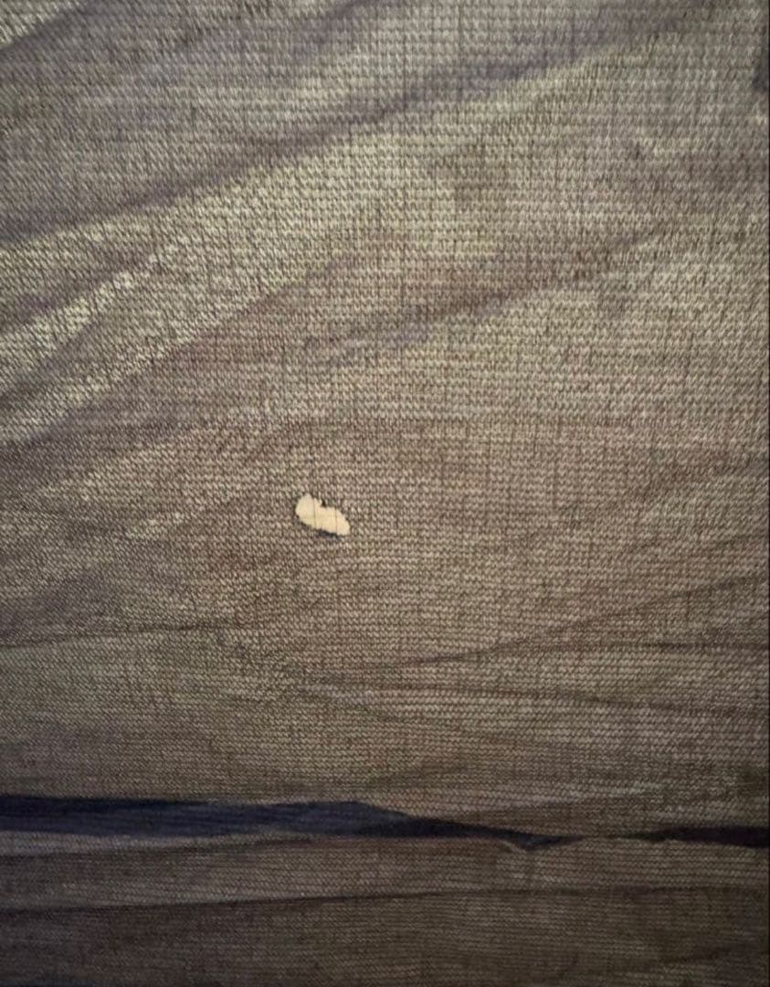 Coleman タフスクリーン2ルームハウス