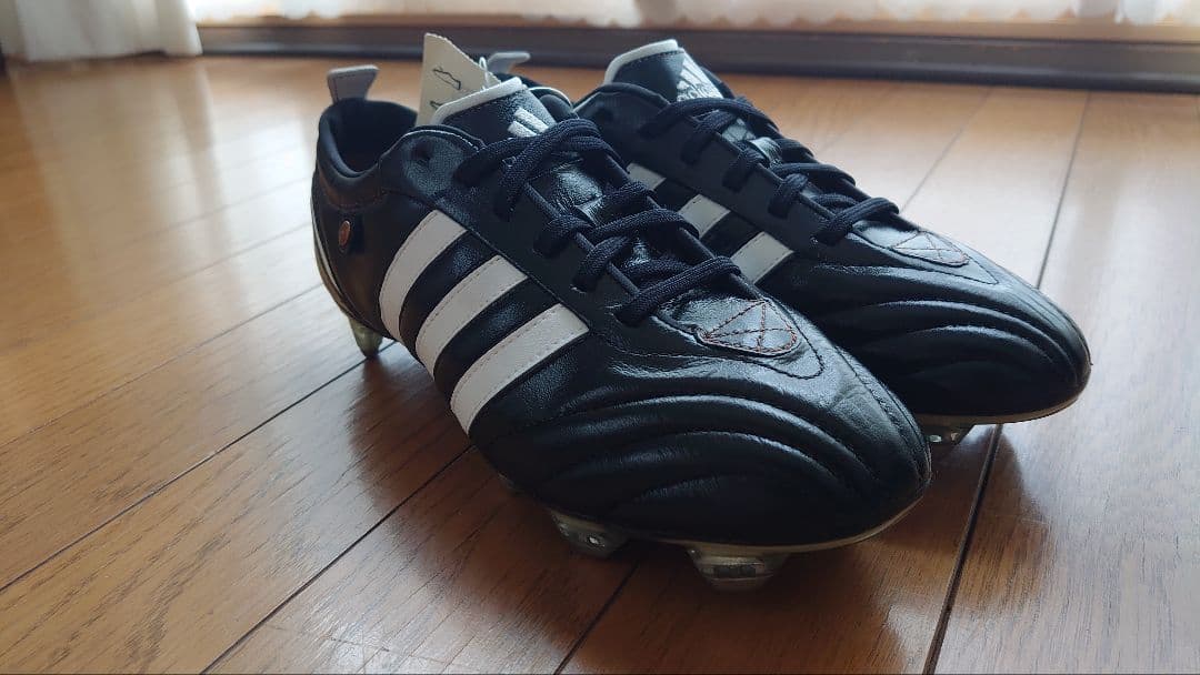 アディピュア SG adipure　初代