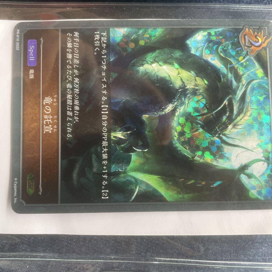 シャドバ　竜の託宣　大会プロモ