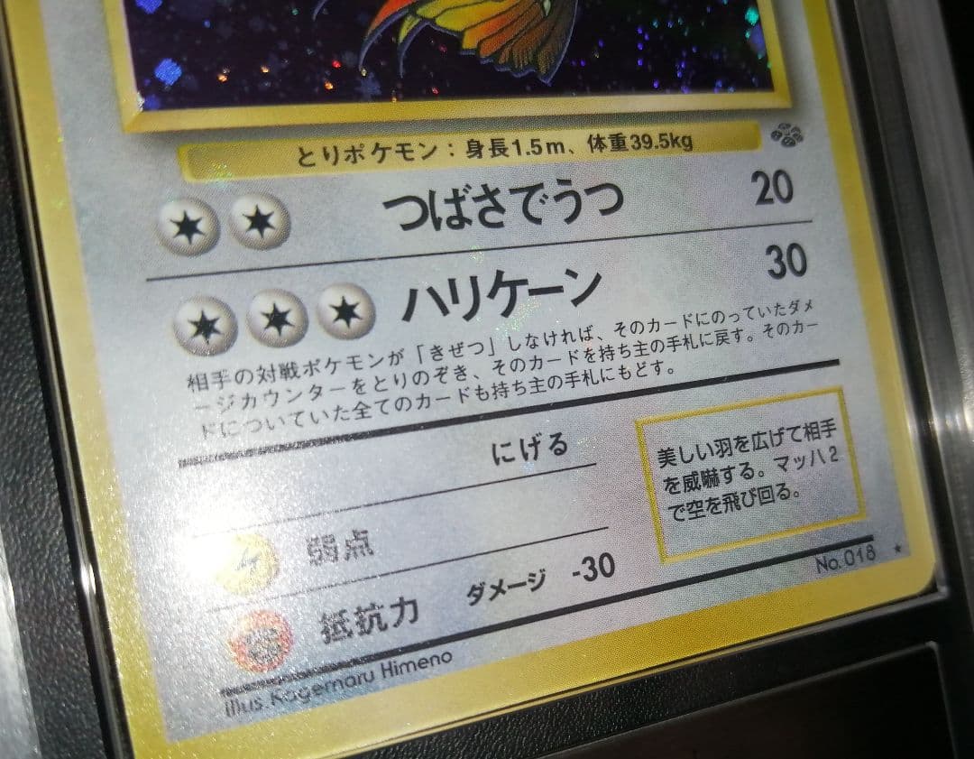 ピジョット　旧裏　ARS9　全ホロ弱め