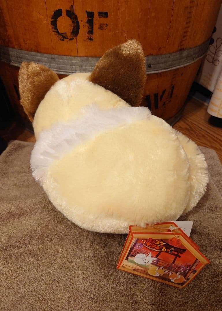 ちょコンとキツネ くるんとおねむ こんぺいとう JB ぬいぐるみ