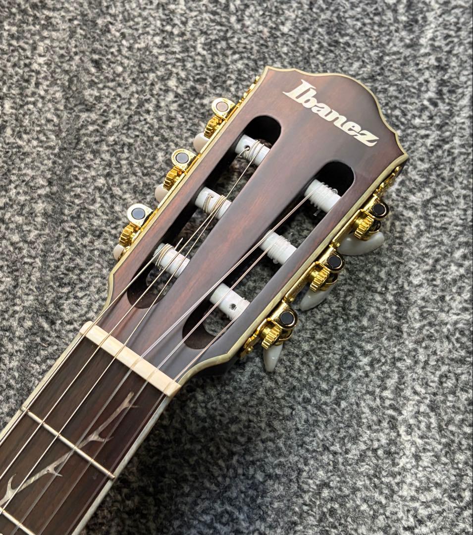 ibanez TOD10N ティム・ヘンソン　エレガット