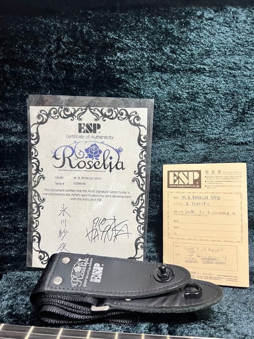ESP M-II ROSELIA SAYO ギター2018年3月購入　氷川紗夜