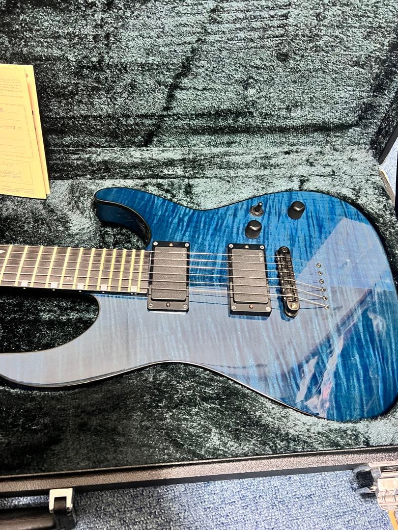 ESP M-II ROSELIA SAYO ギター2018年3月購入　氷川紗夜