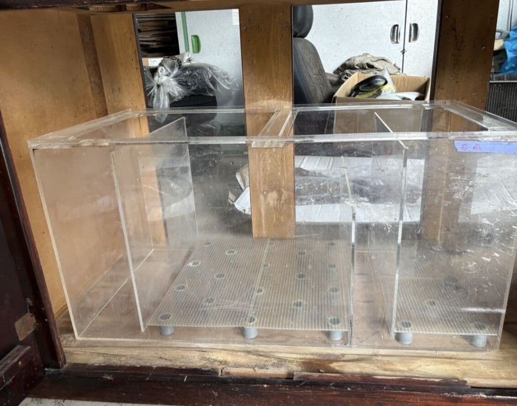 大型オーバーフロー水槽、Marfied台、濾過槽、ポンプのセット