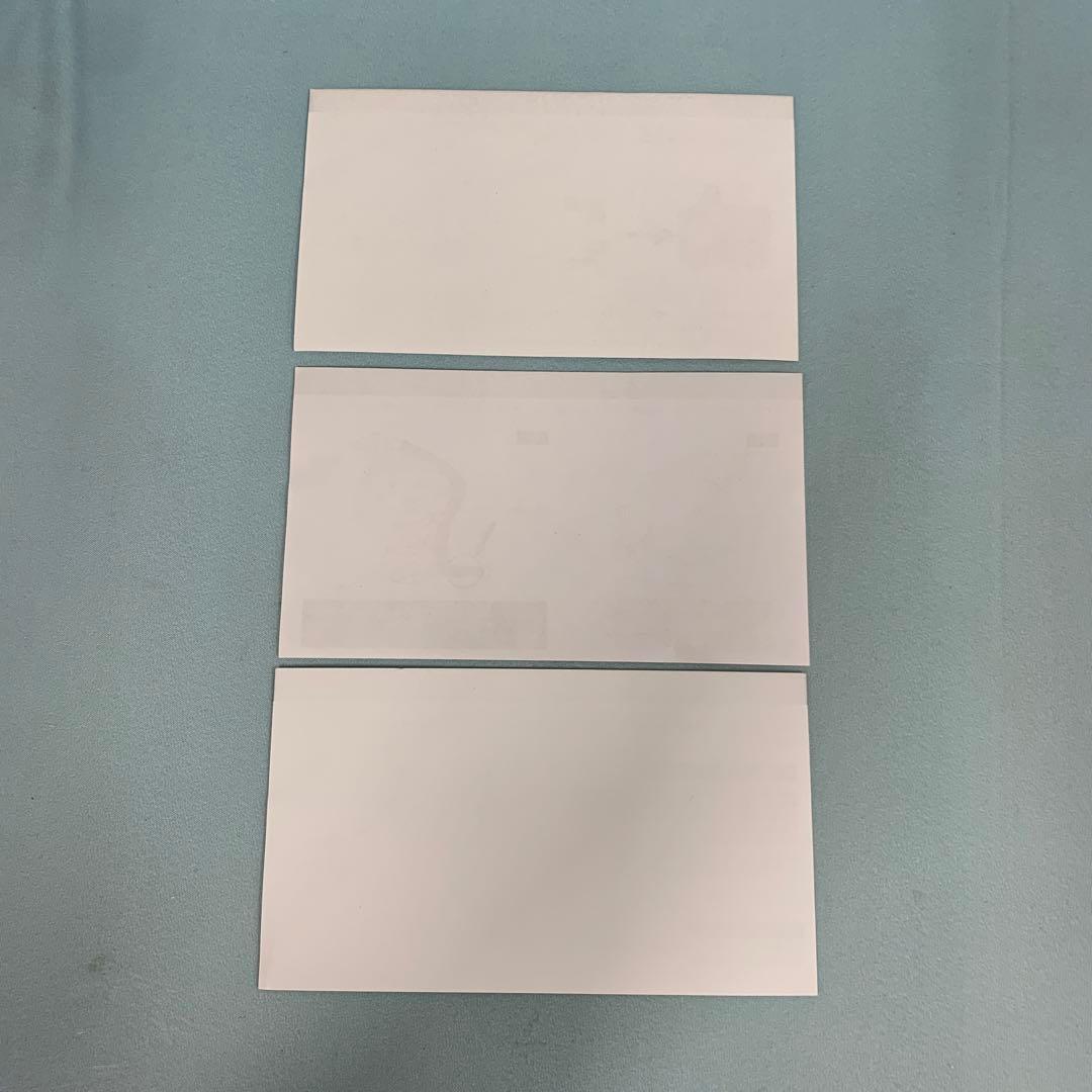 フランドール・スカーレット まめしき06「東方project」