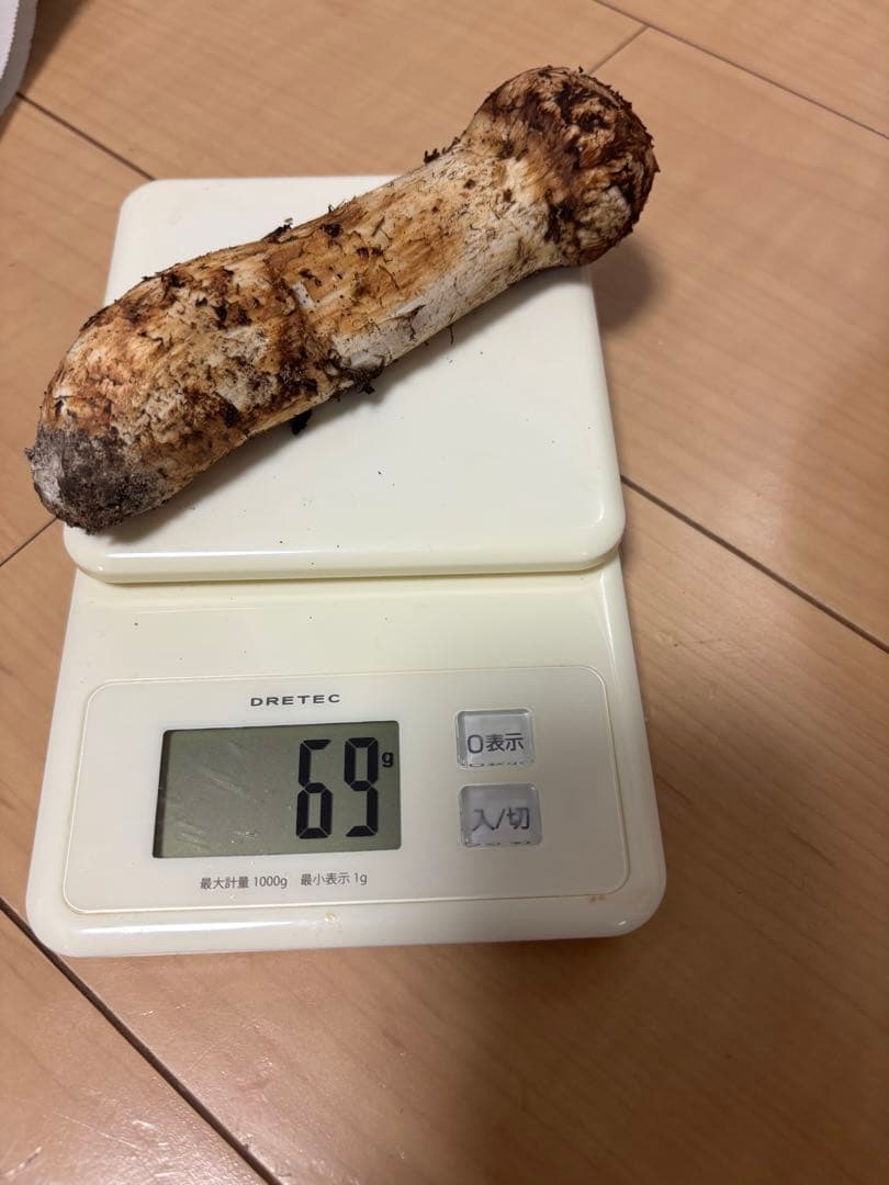 宮城県気仙沼産 極上松茸 370g