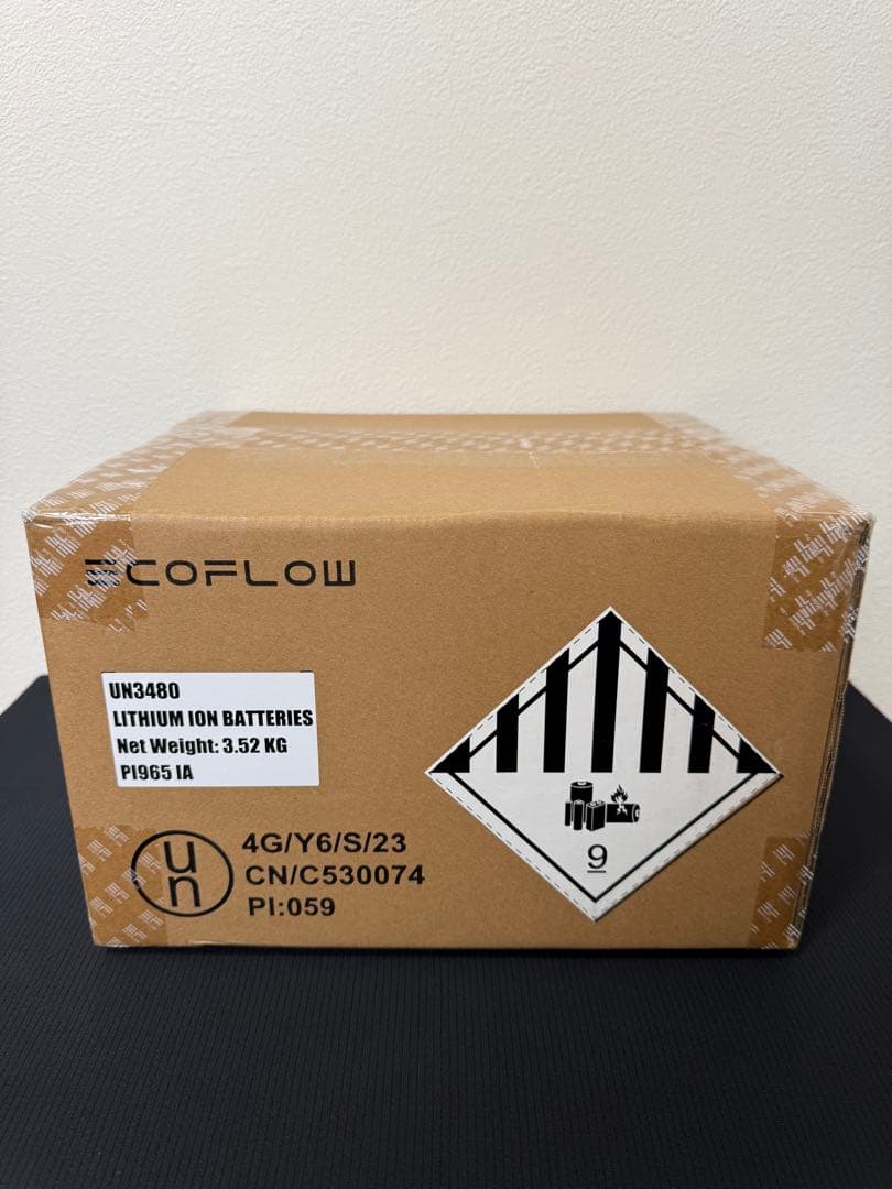 エコフローEcoFlow ポータブル電源256Wh EcoFlow 2