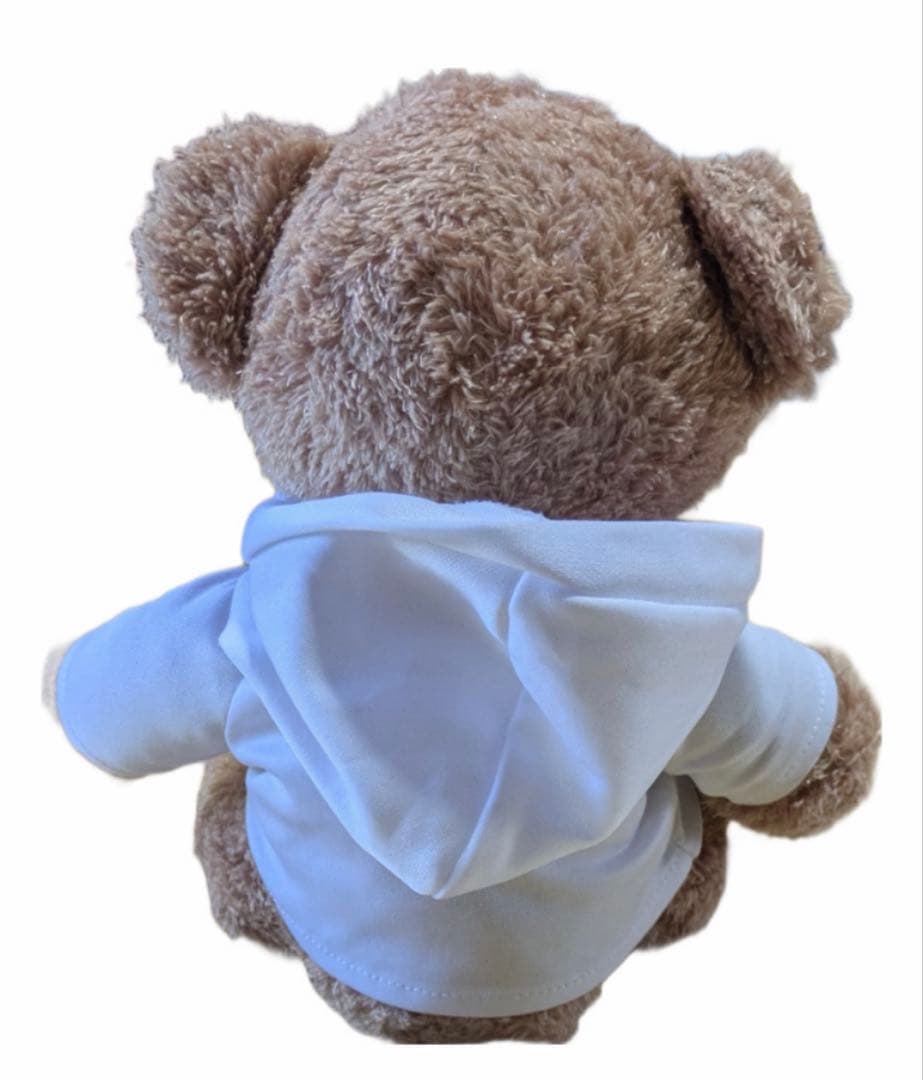 ペルージャ　くまぬいぐるみ　石川祐希