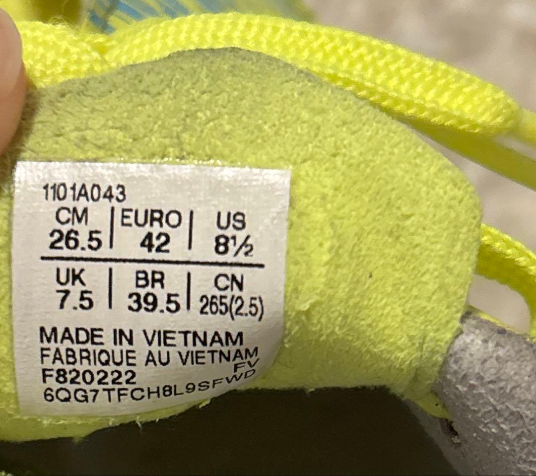 DS LIGHT X-FLY PRO L.E. (1000足限定)