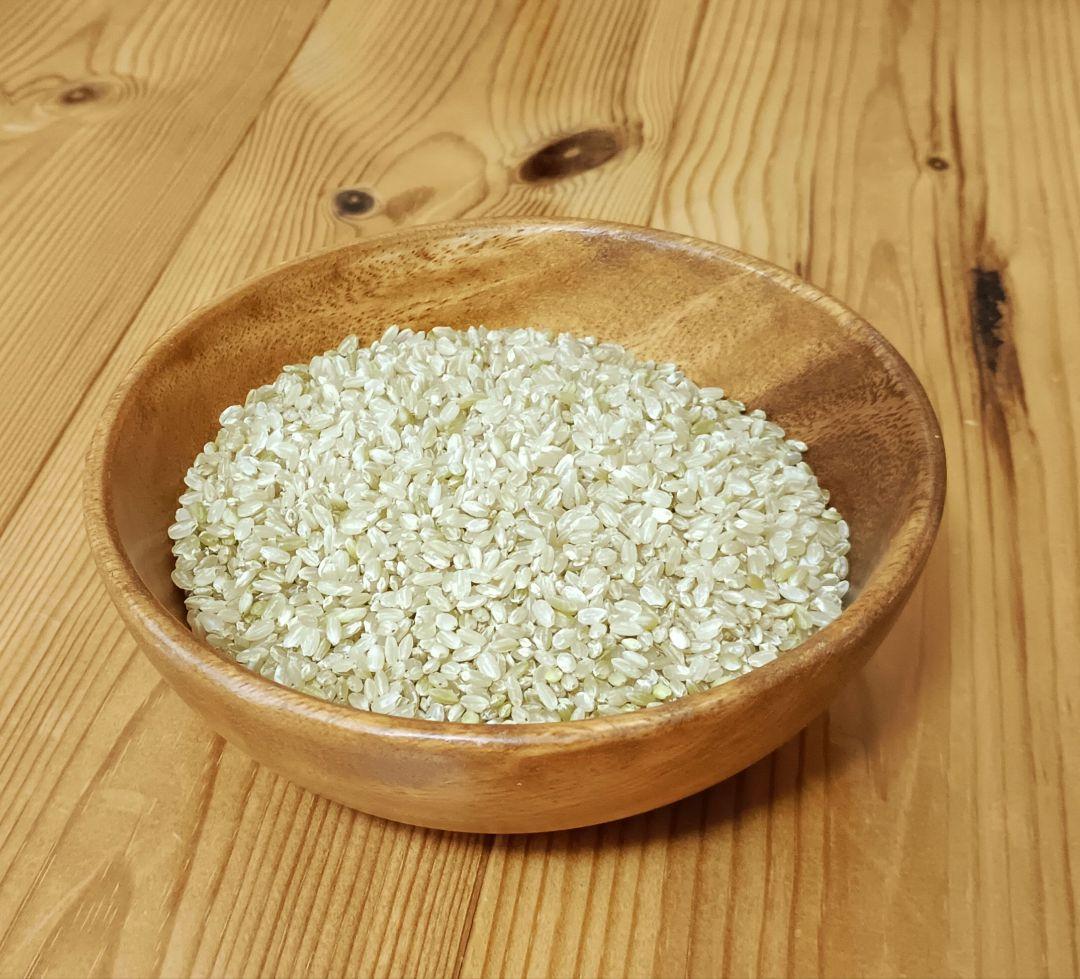 令和7年 宮城県産 お米 玄米10kg×2（未検査米）