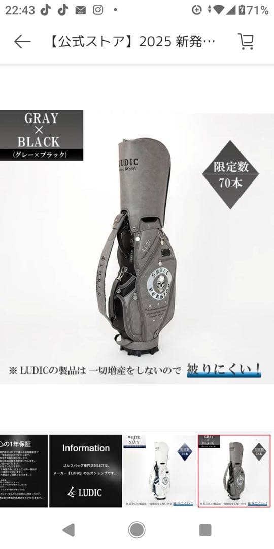 ルディック キャディバッグ スカルバージョン グレー×ブラック 限定70本