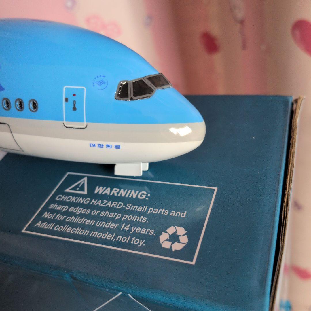 韓国旅客機約50cm