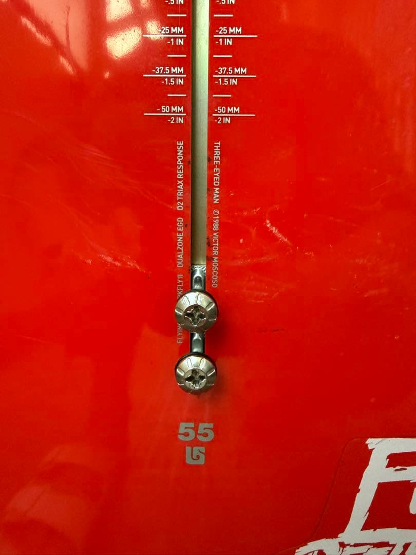 Burton バートン スノーボード EASY LIVIN 155（2010）