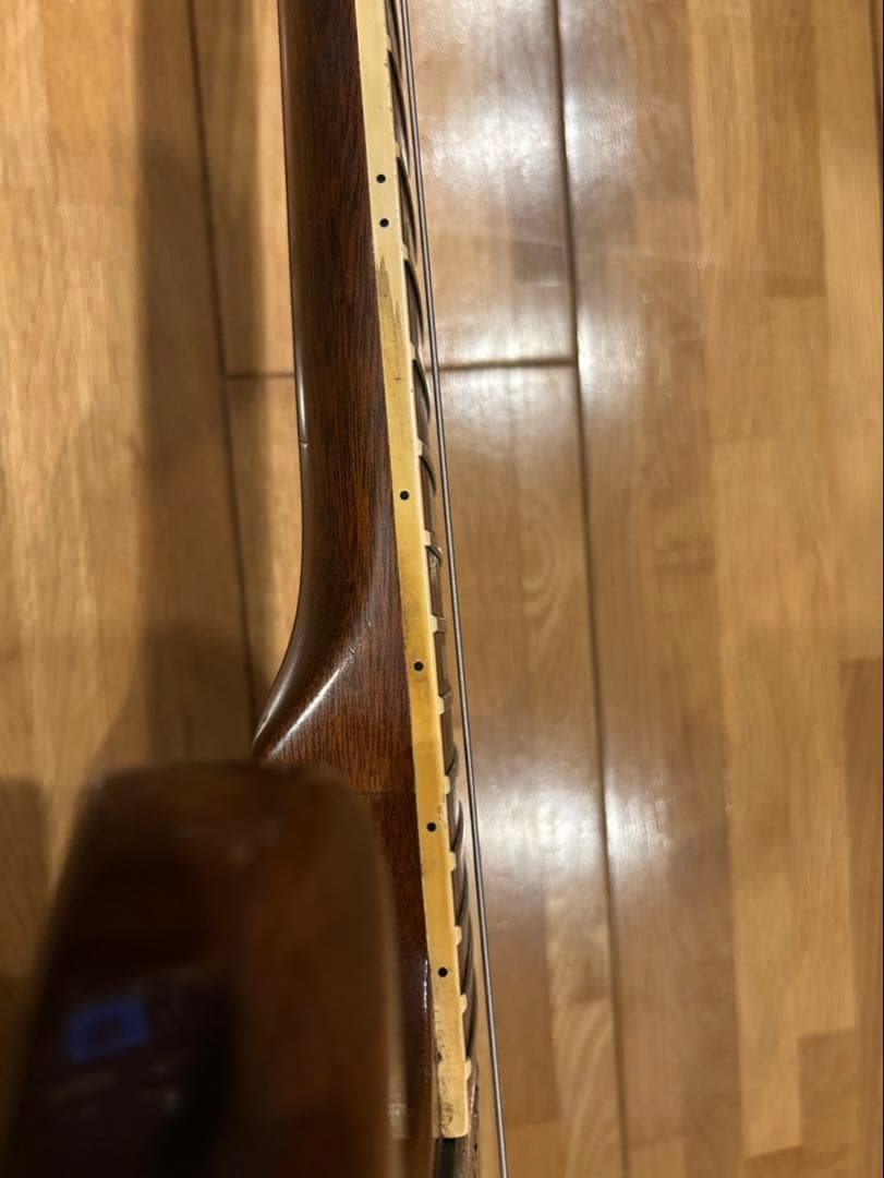 【最終値下げ】Gibson SG 1981年製 Walnut