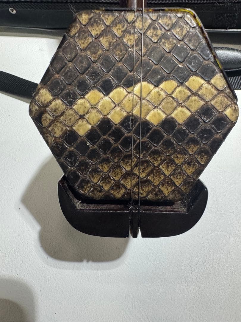 古月琴坊 紅木 二胡 ニシキヘビ皮 ER-400 セミハードケース付