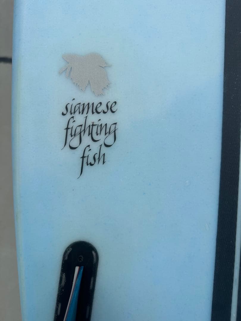 【USED】ANNESLEY SURFBOARD FISH 5.5