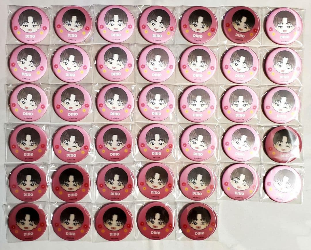 SEVENTEEN まじかる百貨店 缶バッジ キャラバッジ ディノ 40点セット