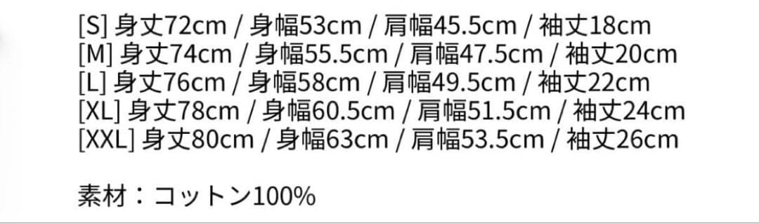 レディガガ　日本限定ツアーＴシャツ　Sサイズ