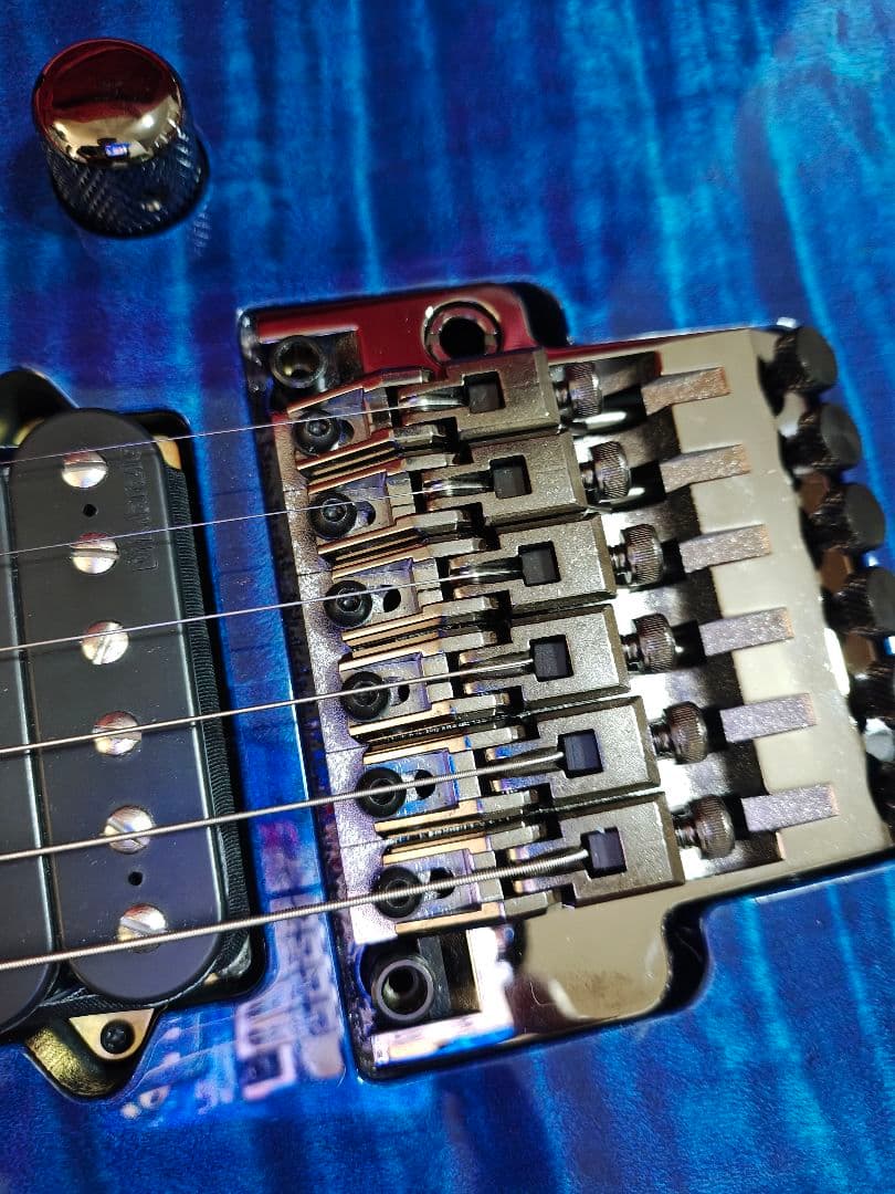 ギター Ibanez RG8570 j.custom