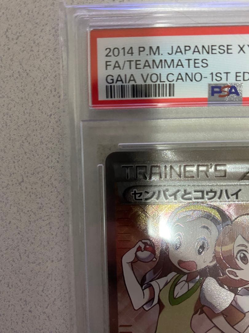 ポケモンカード センパイとコウハイ PSA10