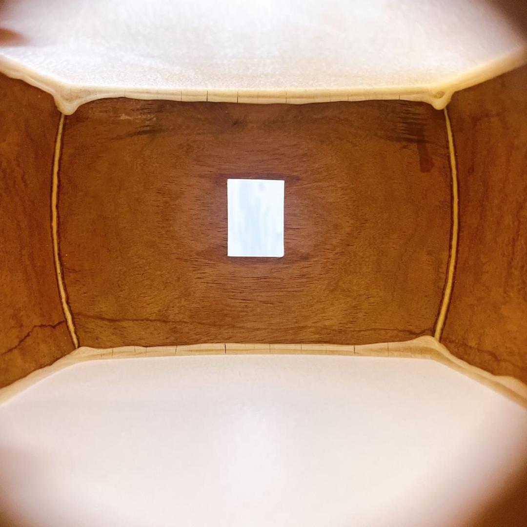 三味線 細棹 丸打胴 動物皮 ハードケース・撥・駒付き 和楽器 皮やぶれなし