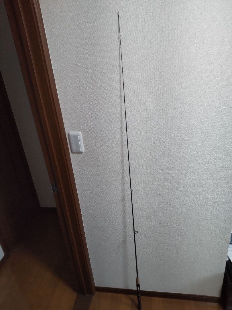 【美品】ポイズングロリアス 2511UL