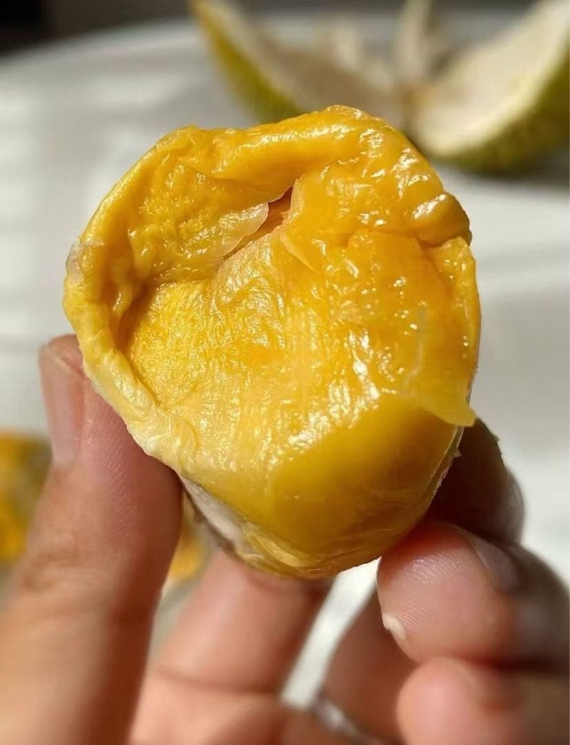 タイ産新鮮ドリアン2個