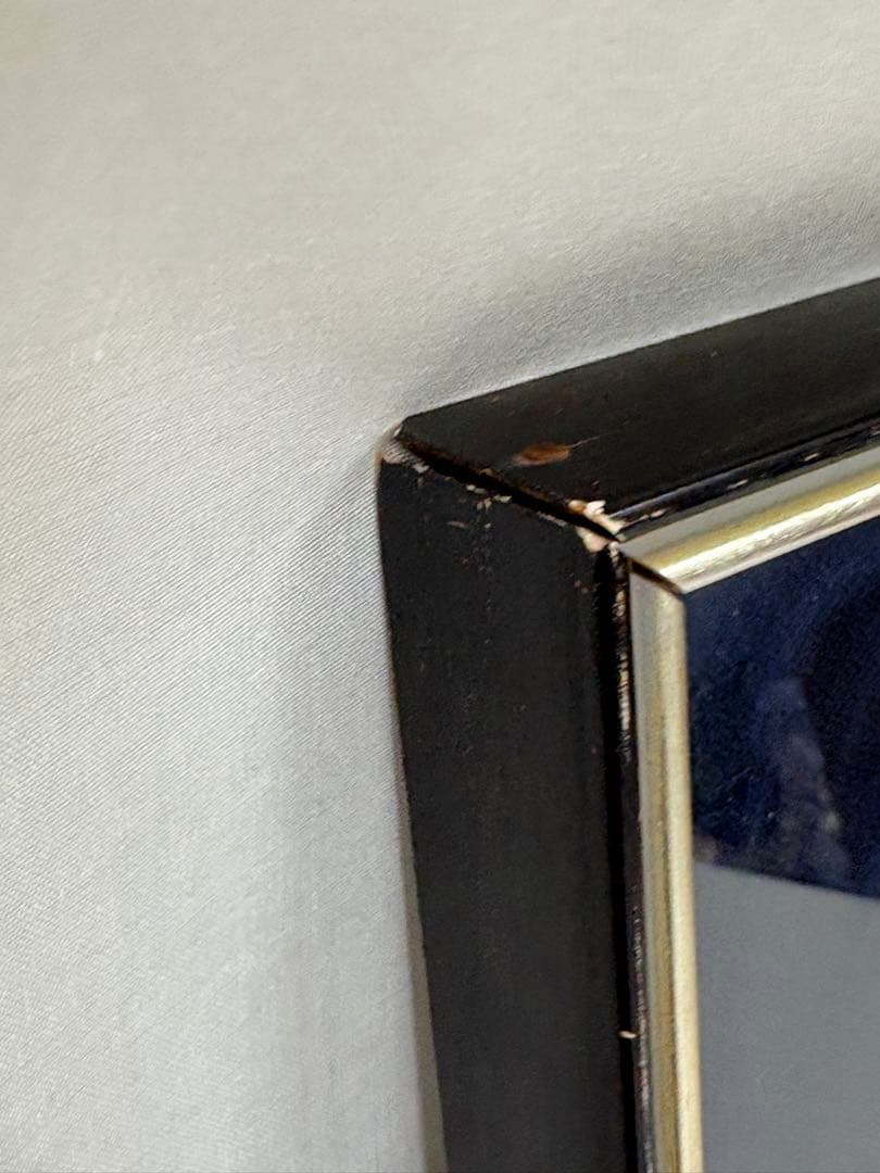 「春光」　土肥武雄　絵画　日本画　鳥　花