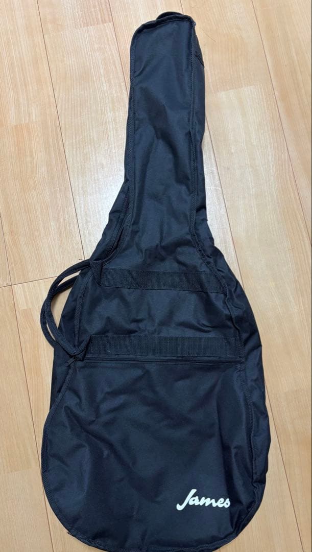 【美品】エレアコ アコースティックギター James JE450 ジェームス