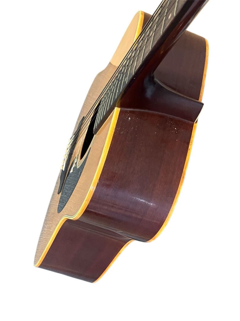 Morris W-18 アコースティックギター