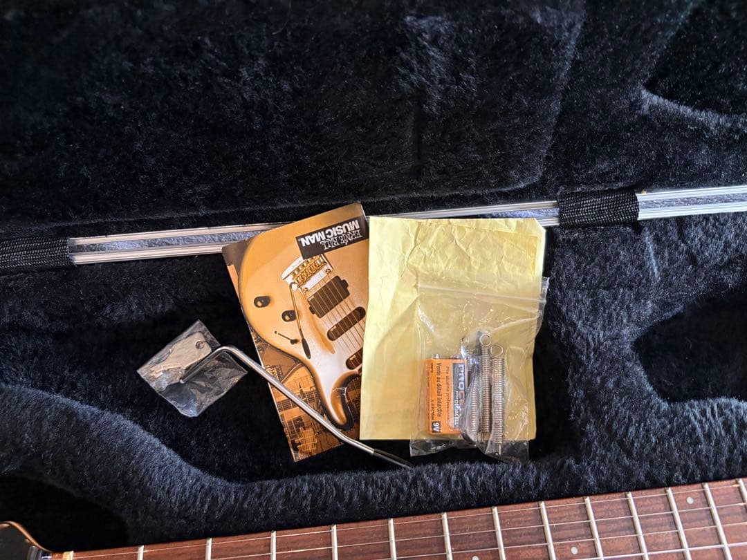 ギター MUSICMAN LUKE