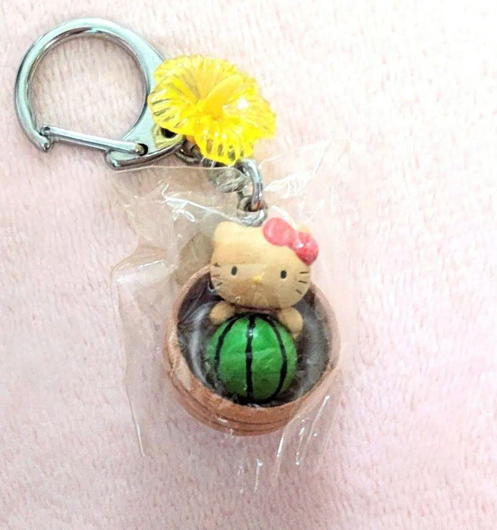 平成レトロ 日焼けキティ ハイビスカス スイカ サンリオ 木 湯桶 夏限定