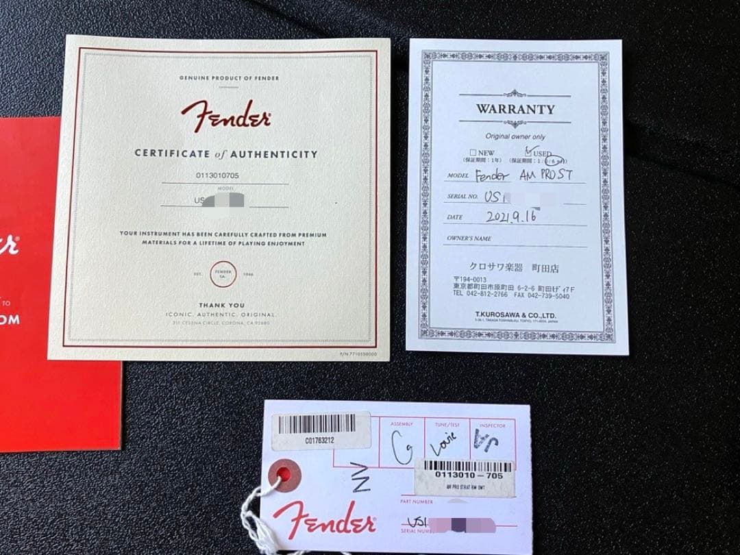 ギター American Professional Stratocaster