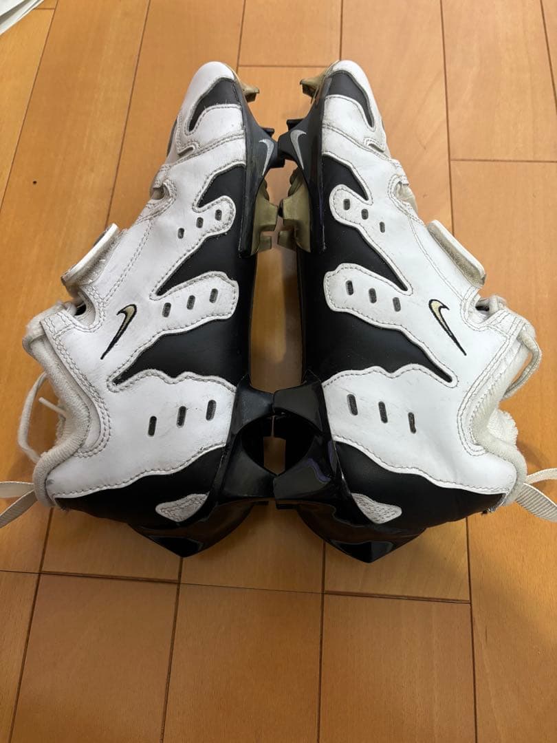 日本未発売モデル　NIKE DT MAX96 26cm