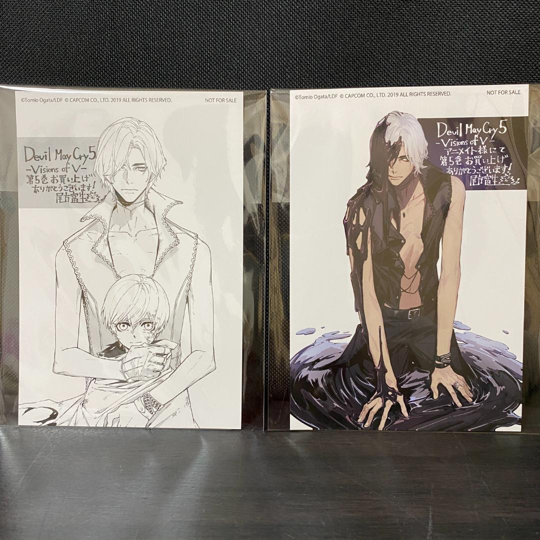 Devil May Cry 5 Visions of V 特典 カード ペーパー