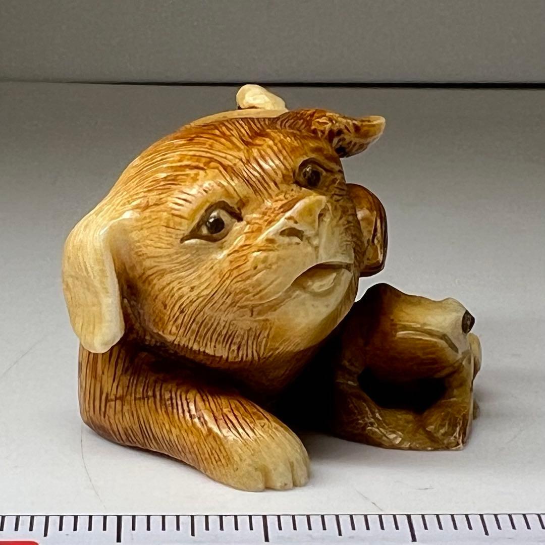 極上 犬とカエル 根付 寛公銘 29g 東キ8-0204☆2F タルサ