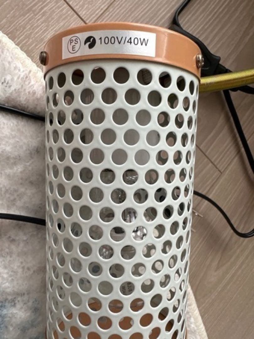 美品　鳥かごＨＯＥＩ４６５オカメ　ホワイトマルカン