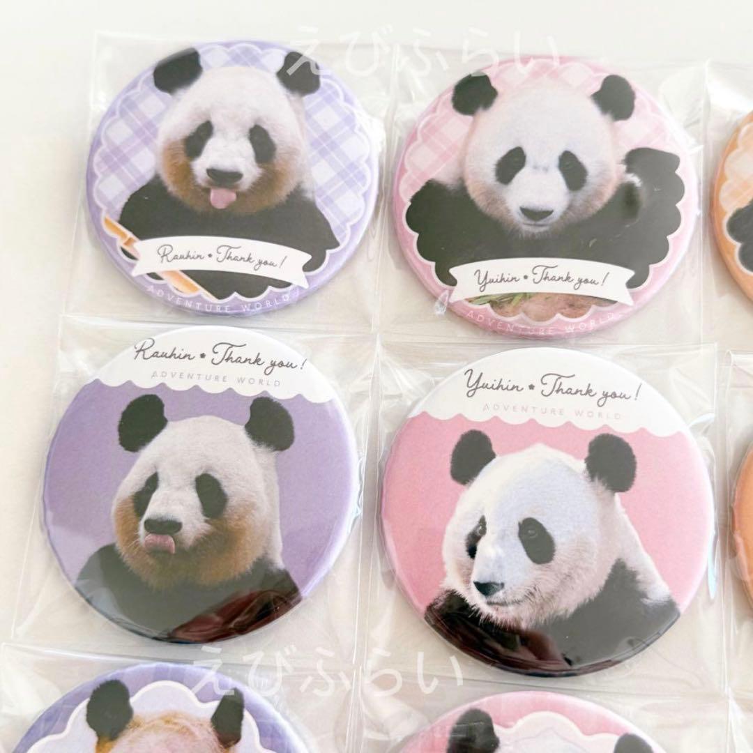 アドベンチャーワールド パンダ 缶バッジ 16個セット 大量 まとめ売り★