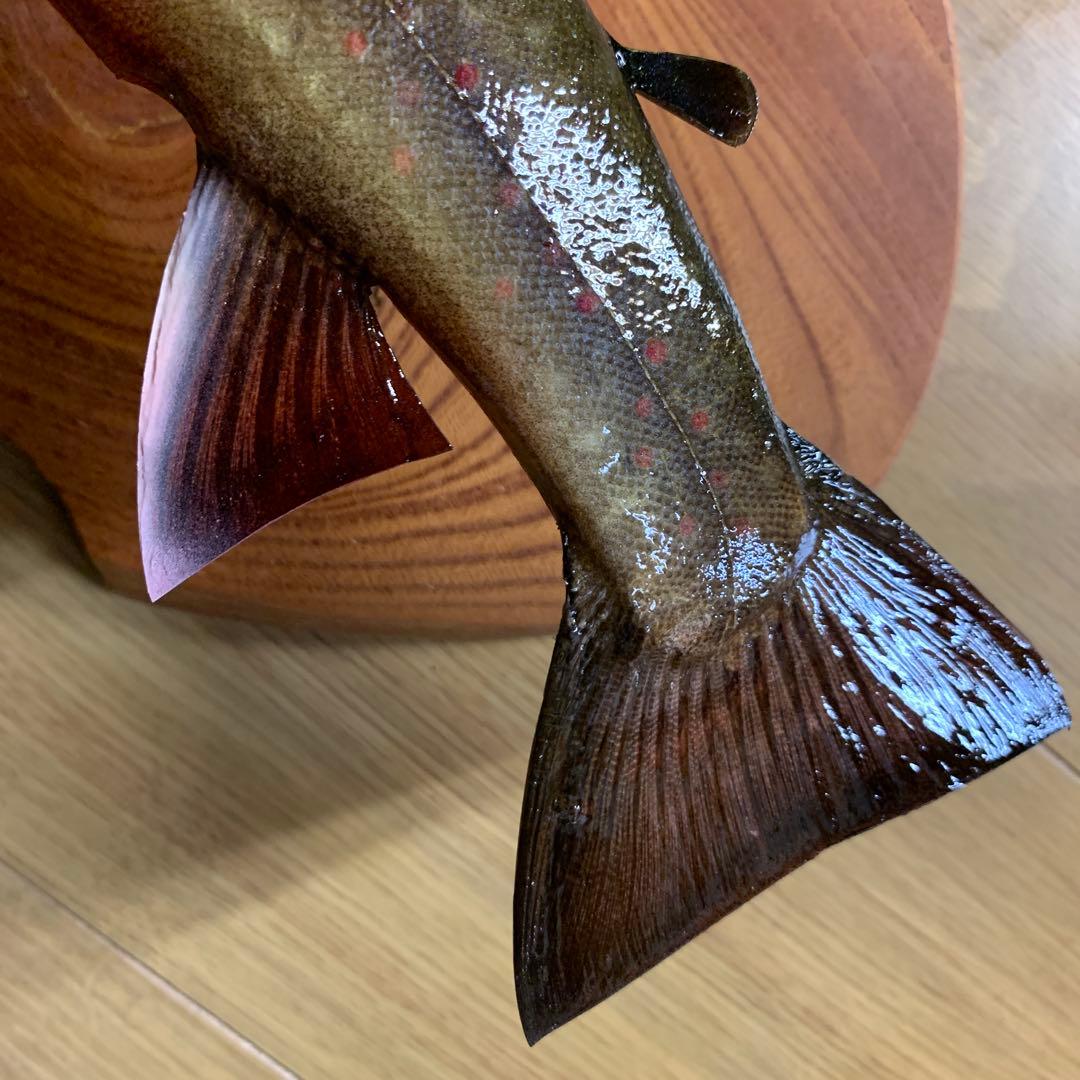 過*ィ様 剥製　魚類剥製工房エフクラフト　イケメンブルックトラウト三口雄40 イ