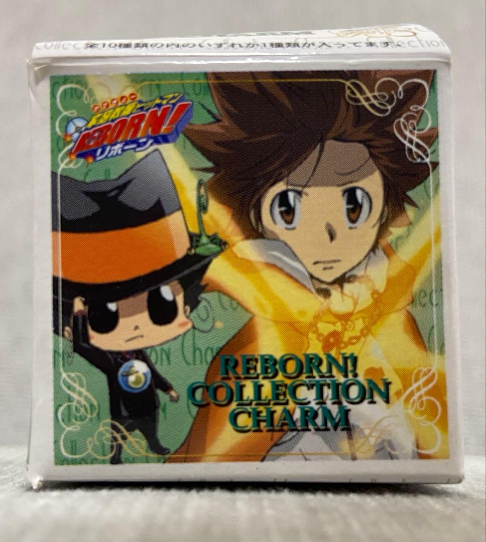 【レア】家庭教師ヒットマンREBORN! コレクションチャーム2