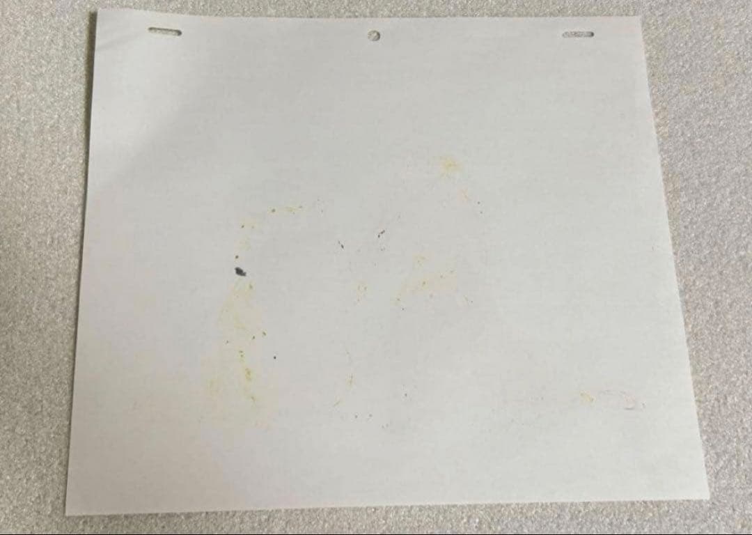 あらいぐまラスカル & ペリーヌ物語バロン復刻版セル画　日本アニメーション