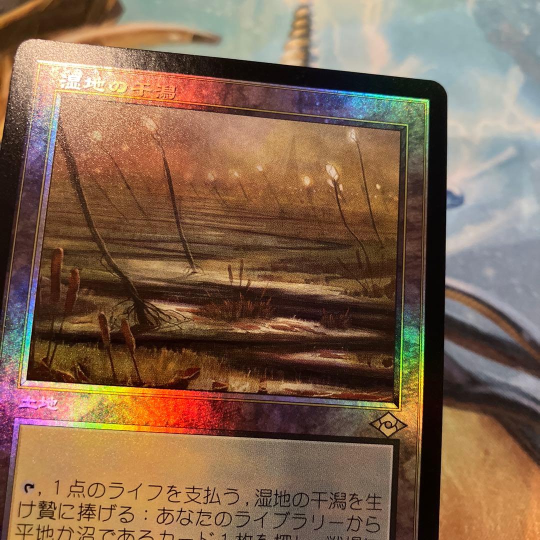 湿地の干潟　日本語FOIL 日本印刷