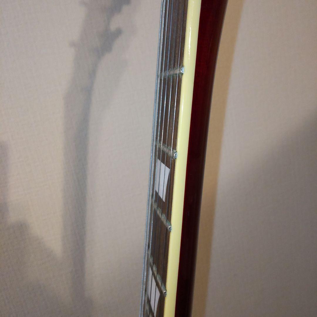 エドワーズSG　ED1328570