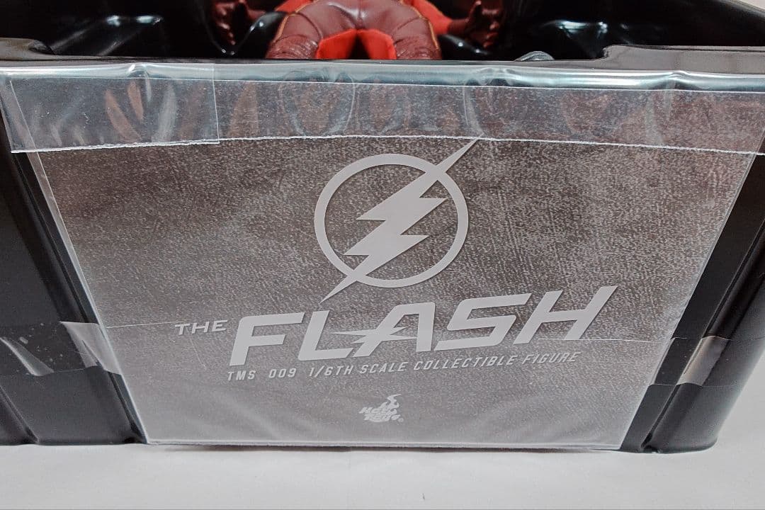 【テレビ・マスターピース】 『ＴＨＥ ＦＬＡＳＨ／フラッシュ』 フラッシュ