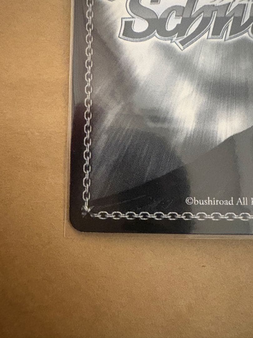 \"自由をち掴むため\"サシャ　サイン　sp