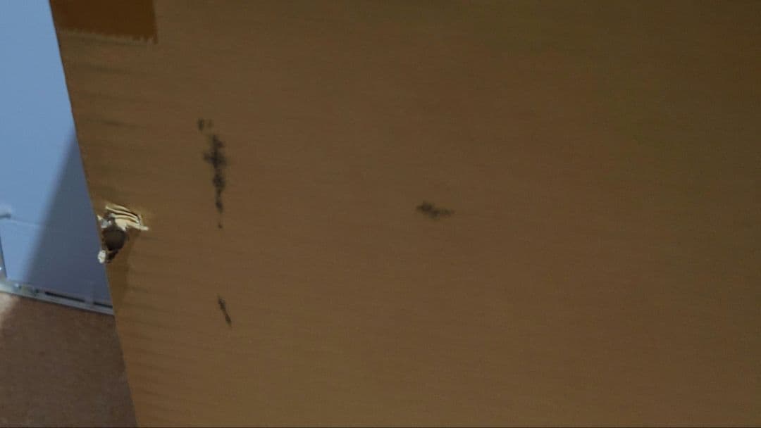 遊戯王 KAIBAセット