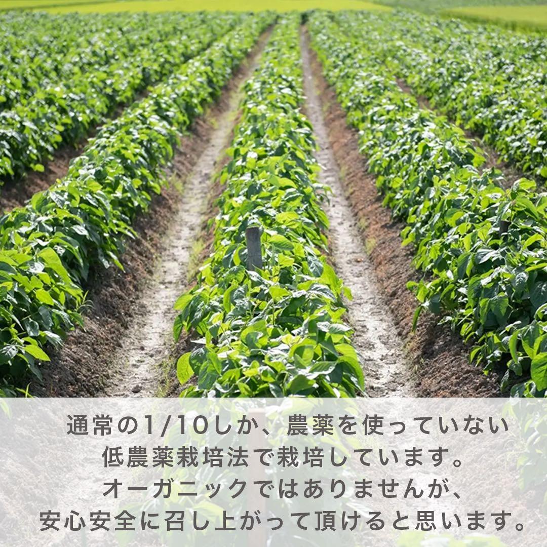《採れたて》丹波篠山産　黒枝豆　7kg 減農薬栽培 丹波黒枝豆