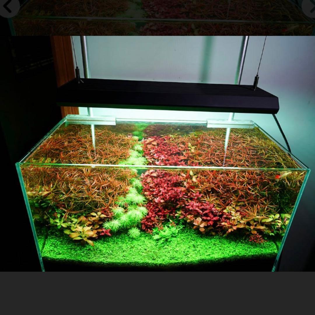 新品　Chihiros LED VIVID2 MATE ブラック RGBライト