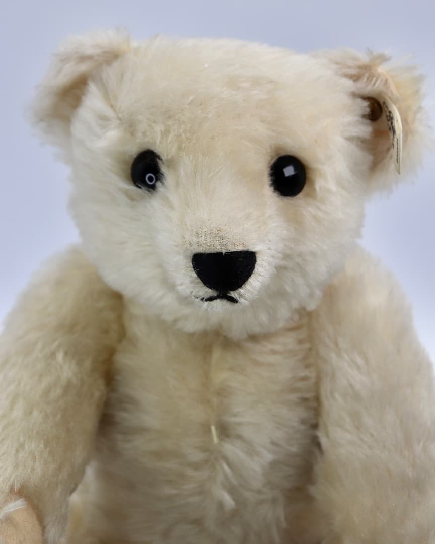 STEIFFF 1909 WHITE TEDDY BEAR レプリカ 約33cm